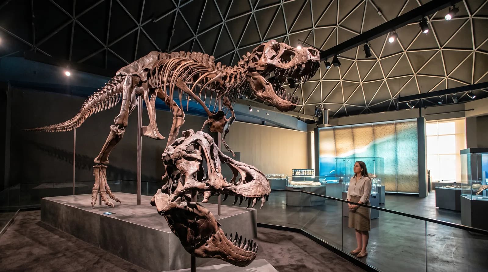 Natural History Museum Abu Dhabi — photo 2