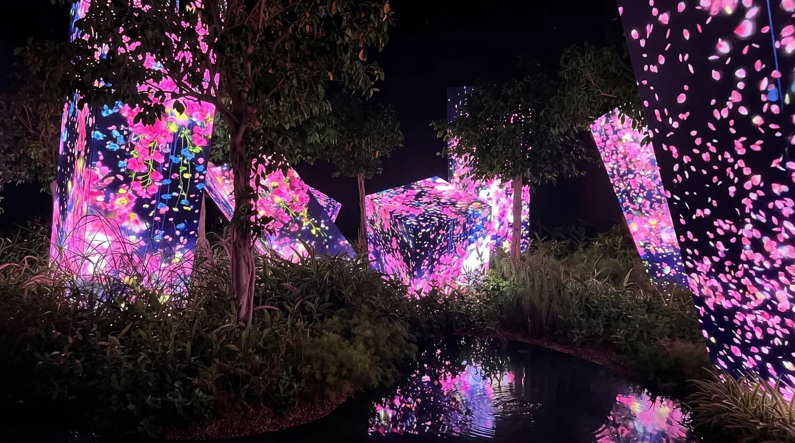 Glowing flowers on rocks in a garden installation