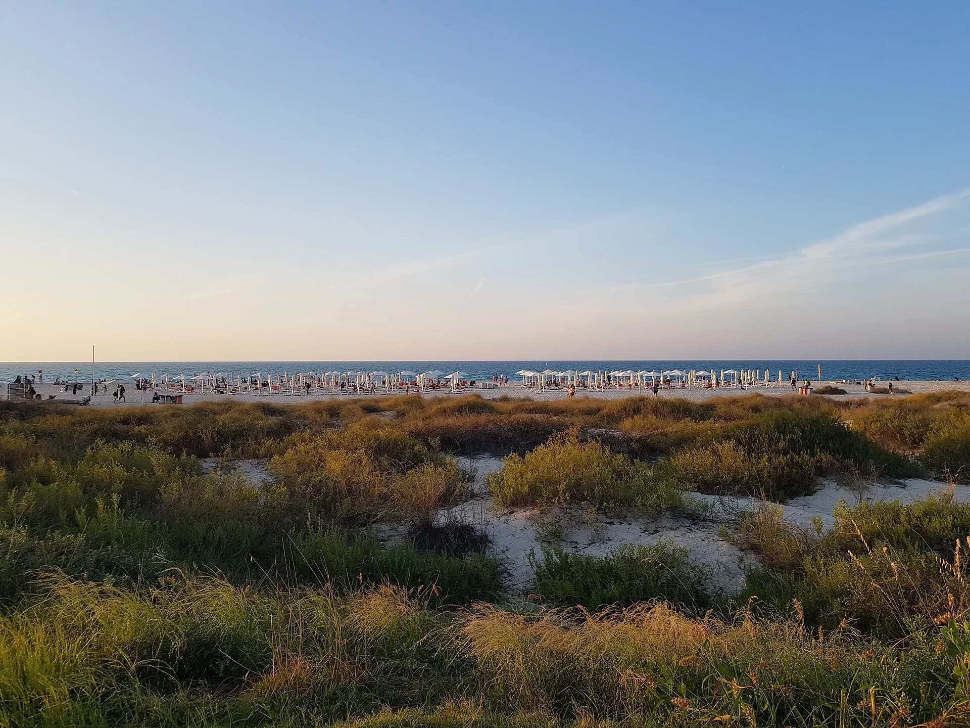 Dunes couvertes d’herbe et parasols de plage, Saadiyat