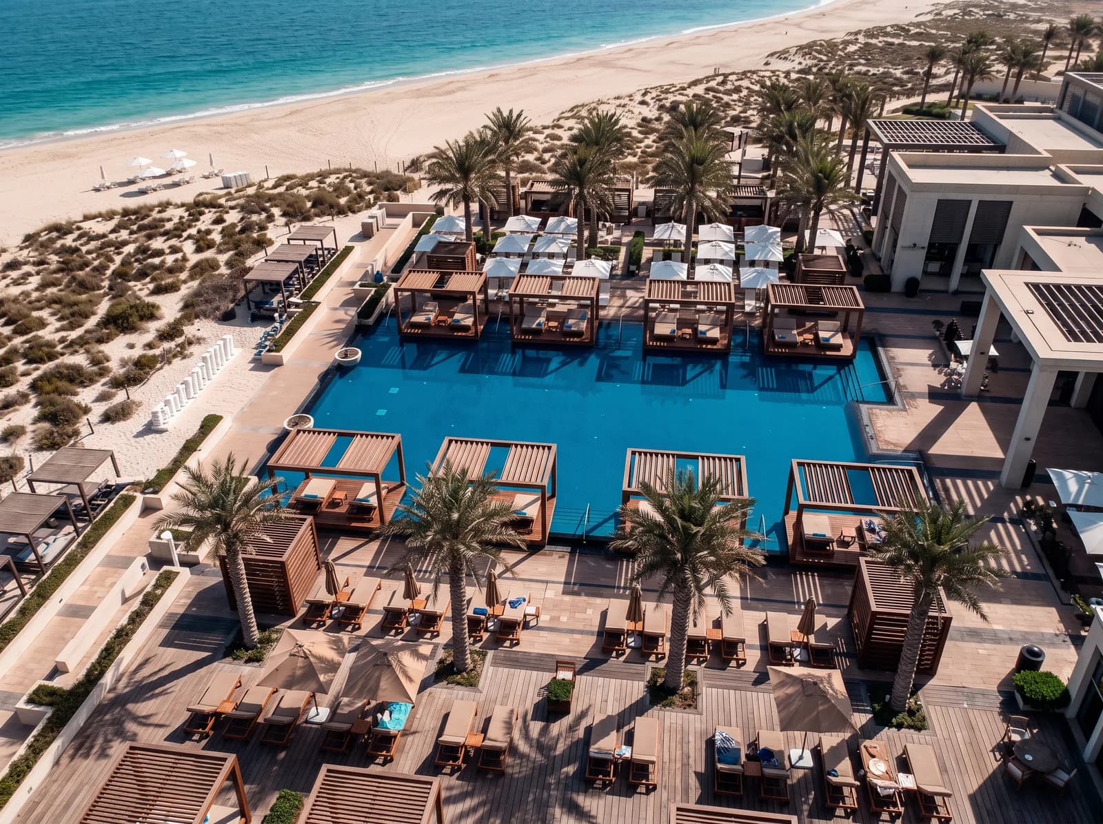 Pool and loungers from above, Saadiyat Beach Club